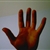 lyl85