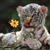 tinkabell23