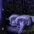nightlight718