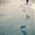 Its hard to forget someone who gave u so much to remember