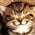 -Nobody cares if you are miserable --- You might as well be happy-