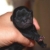 bubblepug12