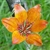angell_84