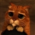 WidE eYeD CaT