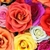 Carmen_PR