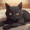 Chat With Chocolate Eyes85 Wireclub